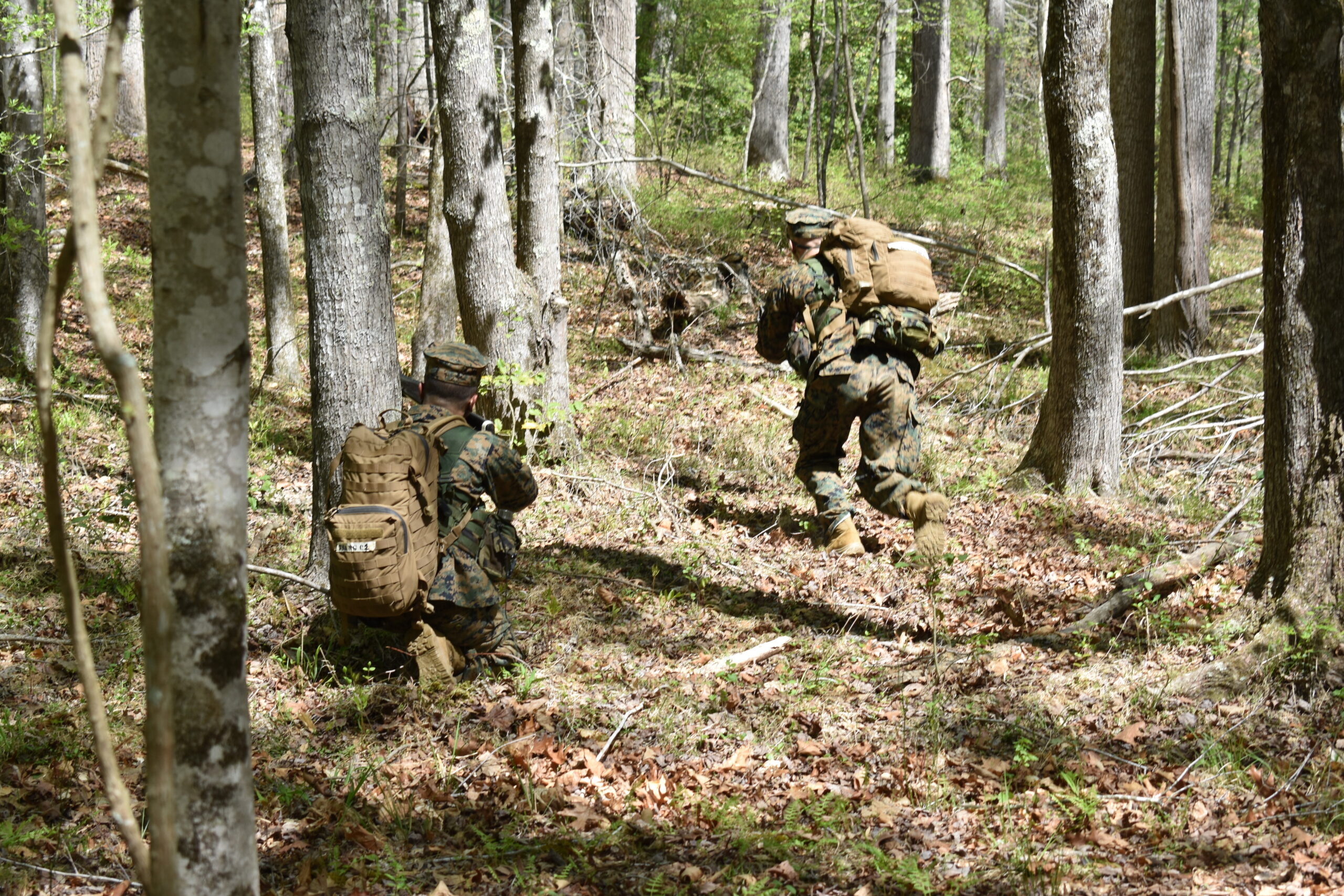 Marines in the field